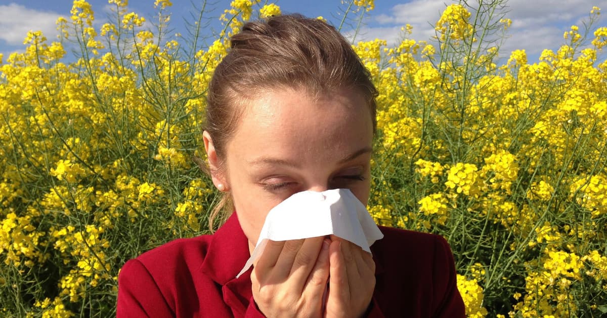 Allergie