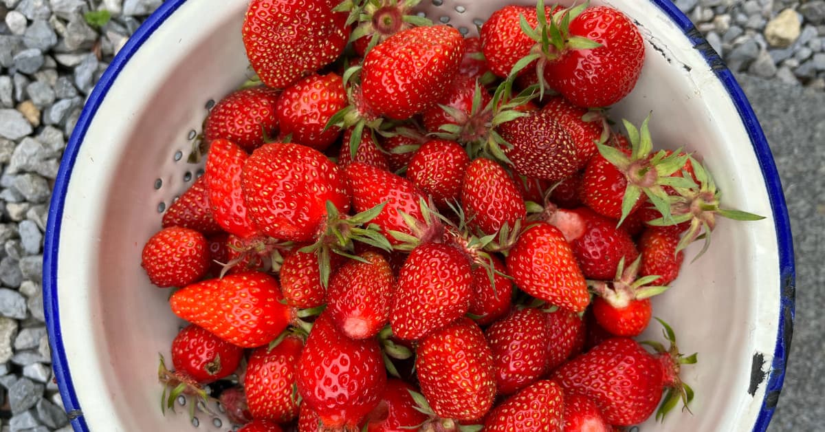 Aardbeieninspiratie