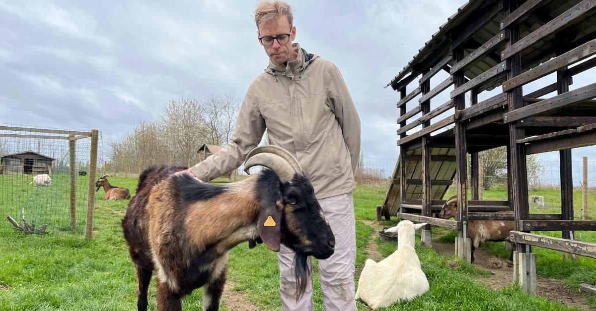 Spanning loslaten uit je lichaam: 5 oefeningen (+ waarom het terugkomt)