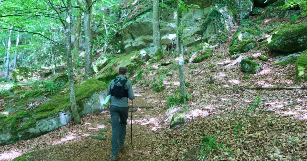 Mullerthal Trail Route 2