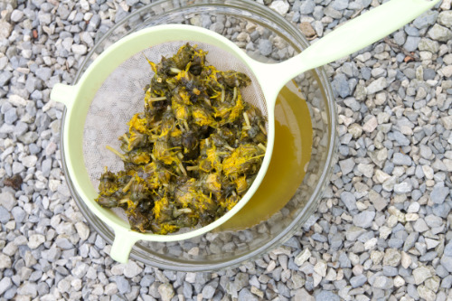 Paardenbloemen zeven