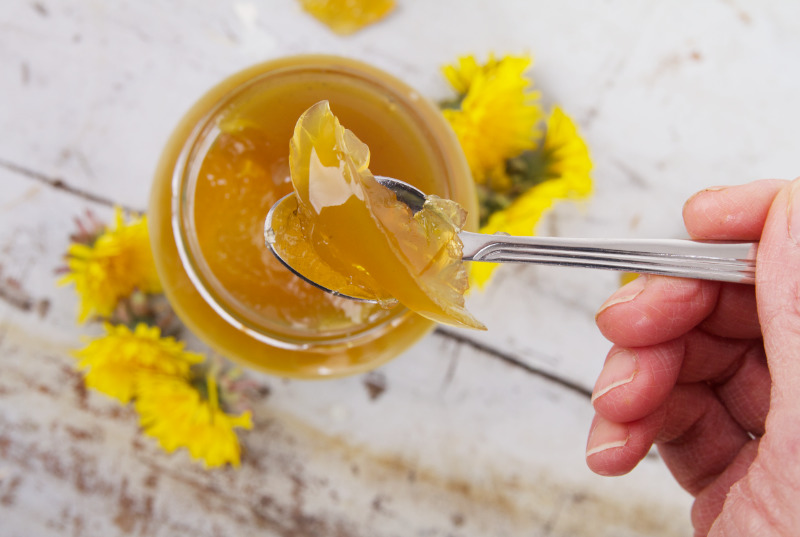 Paardenbloemgelei met agar agar